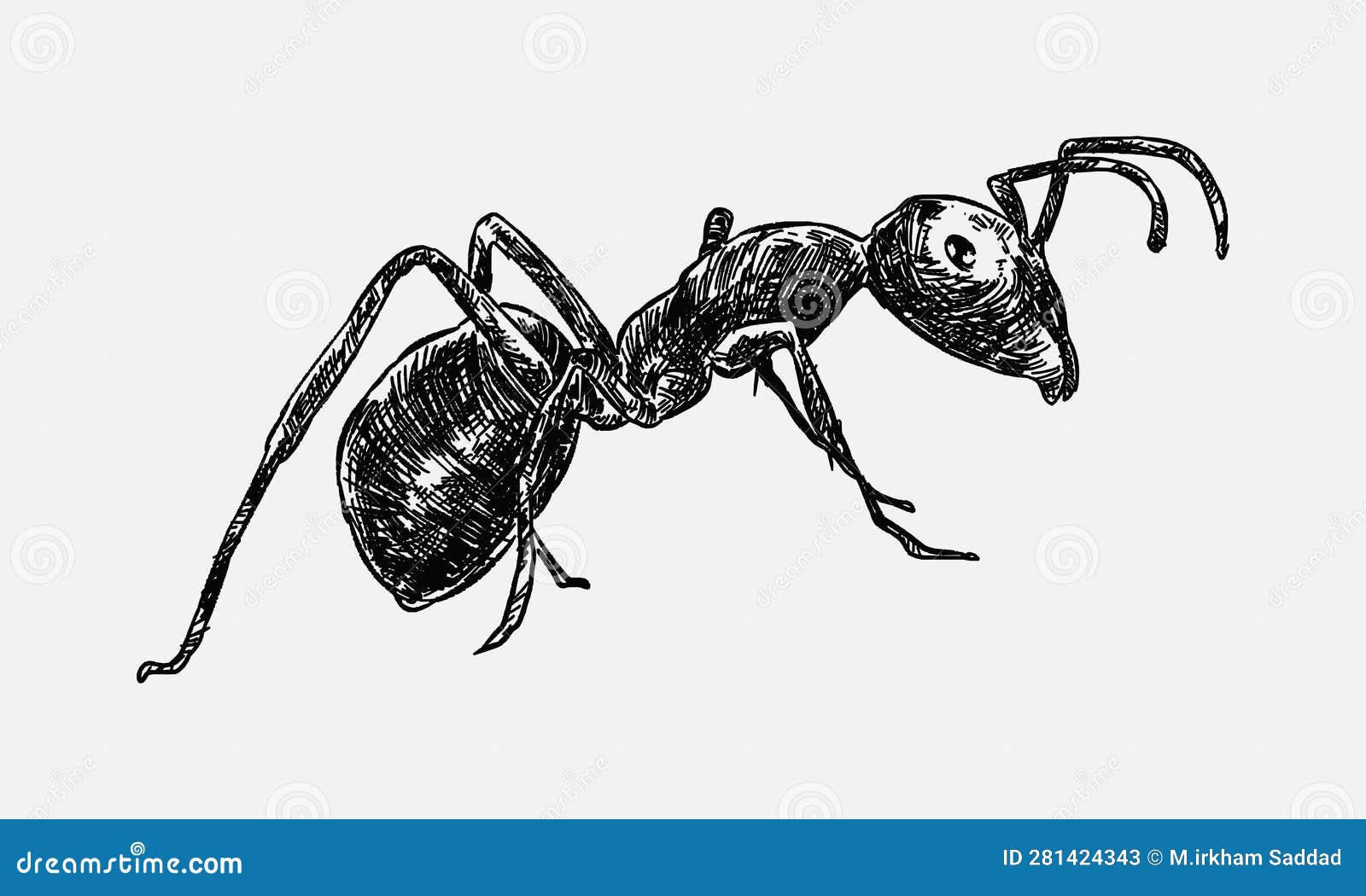 Premium Vector | Cartoon ant vector emmet insect with cute face and big  eyes. design elements. wild animals. isolated
