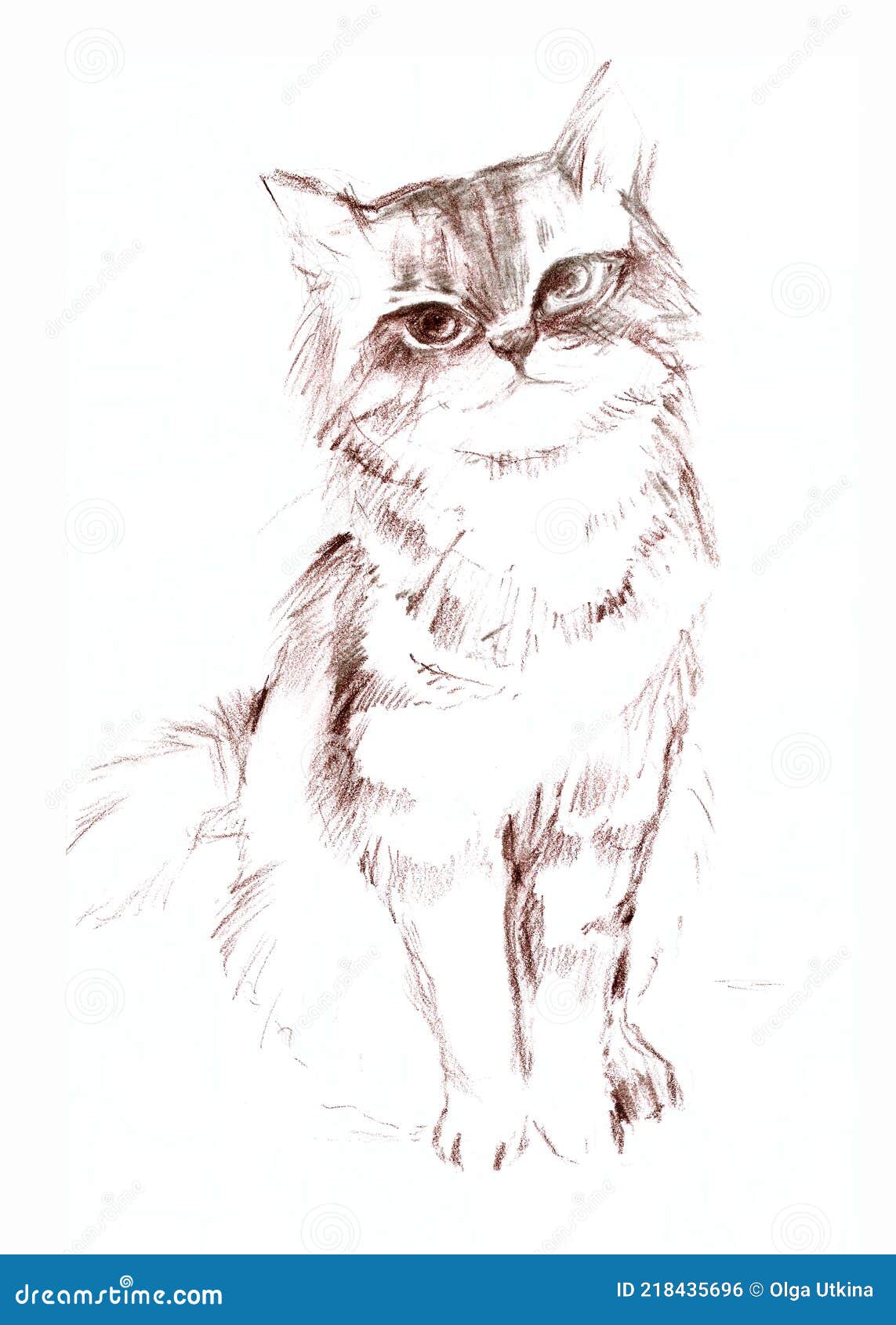 Hand Drawn Illustration of Domestic Animal, Cute Fluffy Kitty of Single  Colour Design Stock Illustration - Illustration of sketching, kitten:  218435696