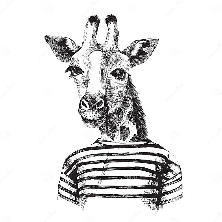 Hand Drawn Illustration of Giraffe Hipster Stock Vector - Illustration ...