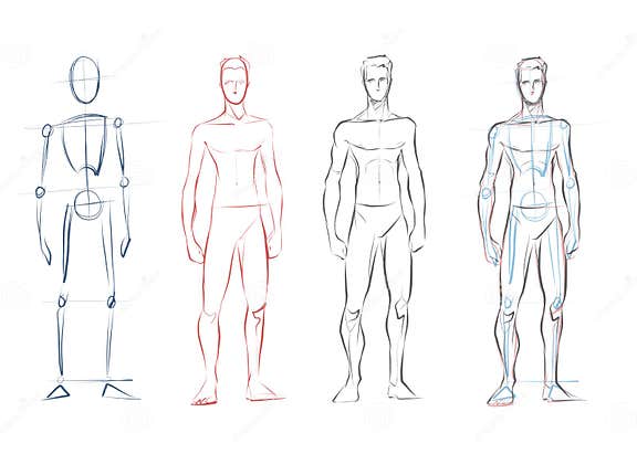 Vector Male Human Body Drawing Sketches Stock Vector - Illustration of ...