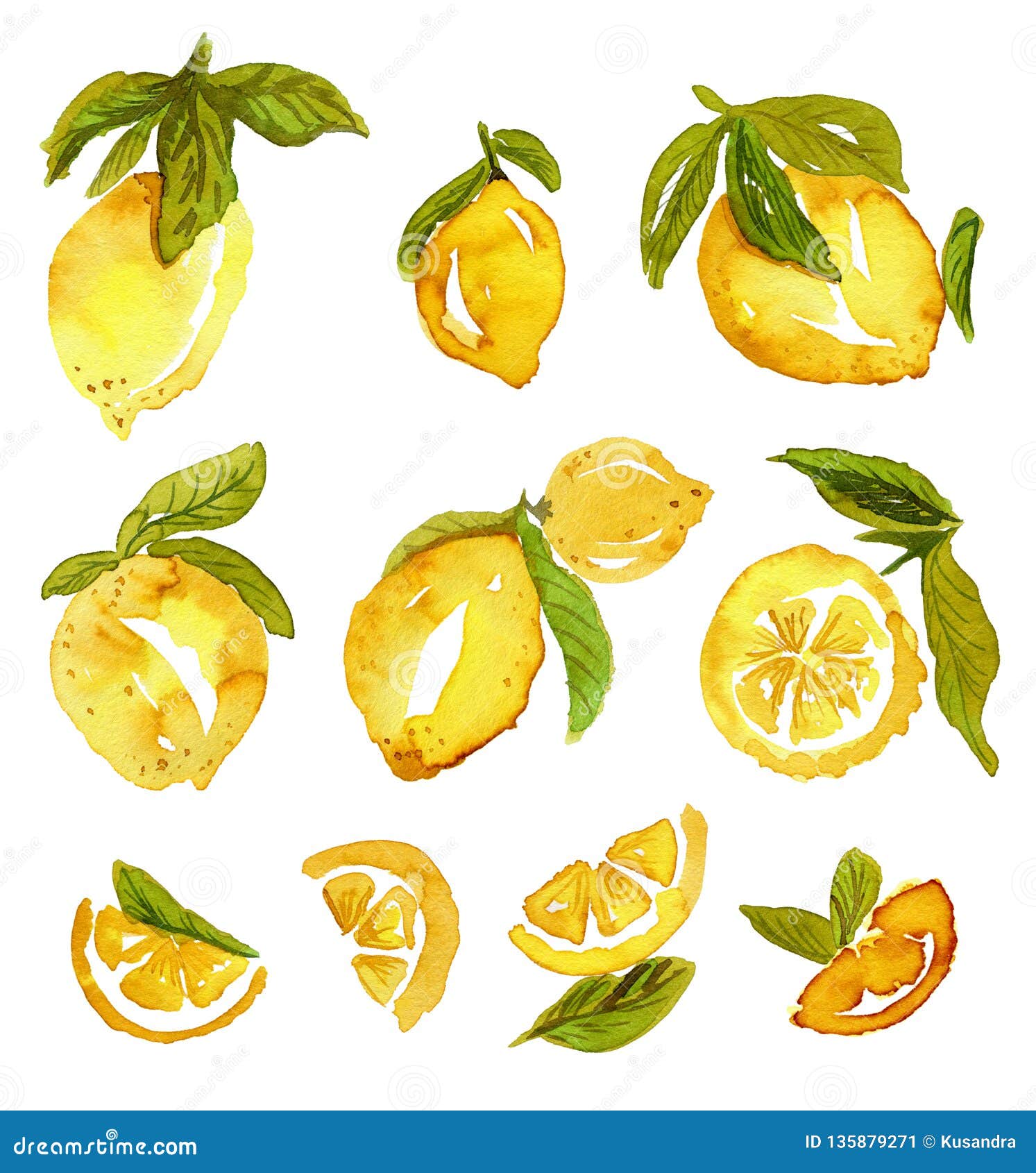 Hand drawn lemon set stock illustration. Illustration of isolated ...