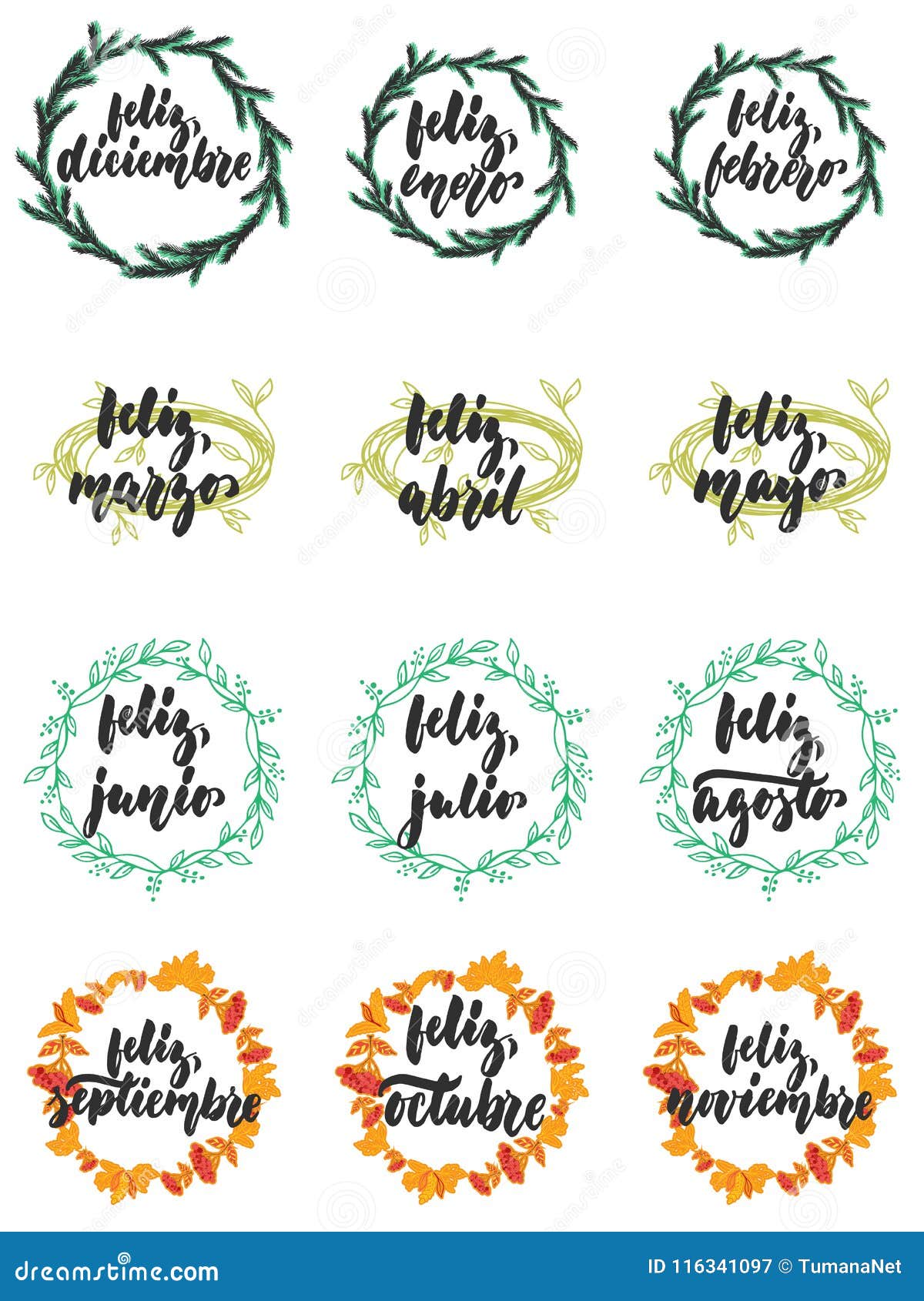 hand drawn lettering phrase feliz, meses in spanish collections  on the white background. fun brush ink 