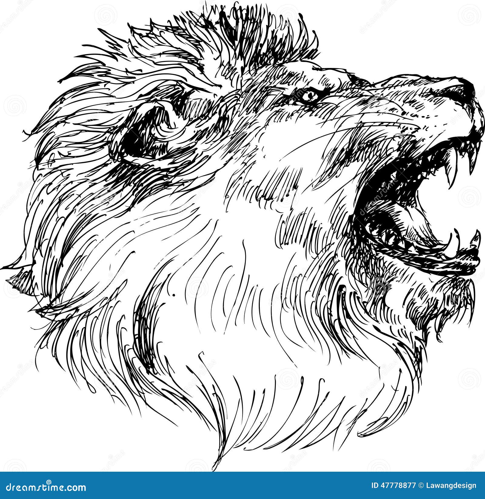 Hand drawn lion head stock vector. Illustration of heraldry - 47778877