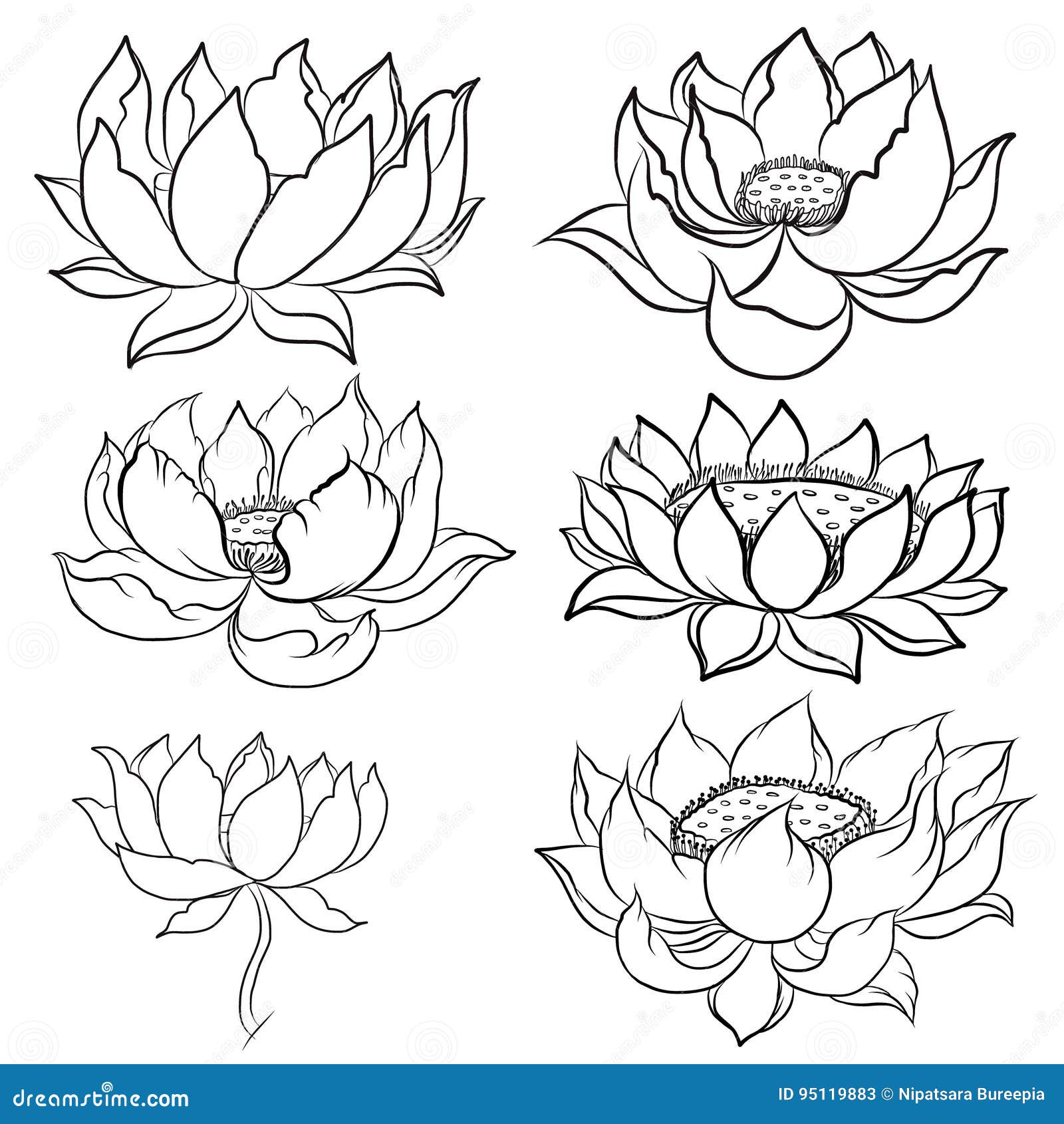 Hand Drawn Lotus Isolate Vector Set and Japanese Tattoo Stock Vector -  Illustration of plant, lotus: 95119883