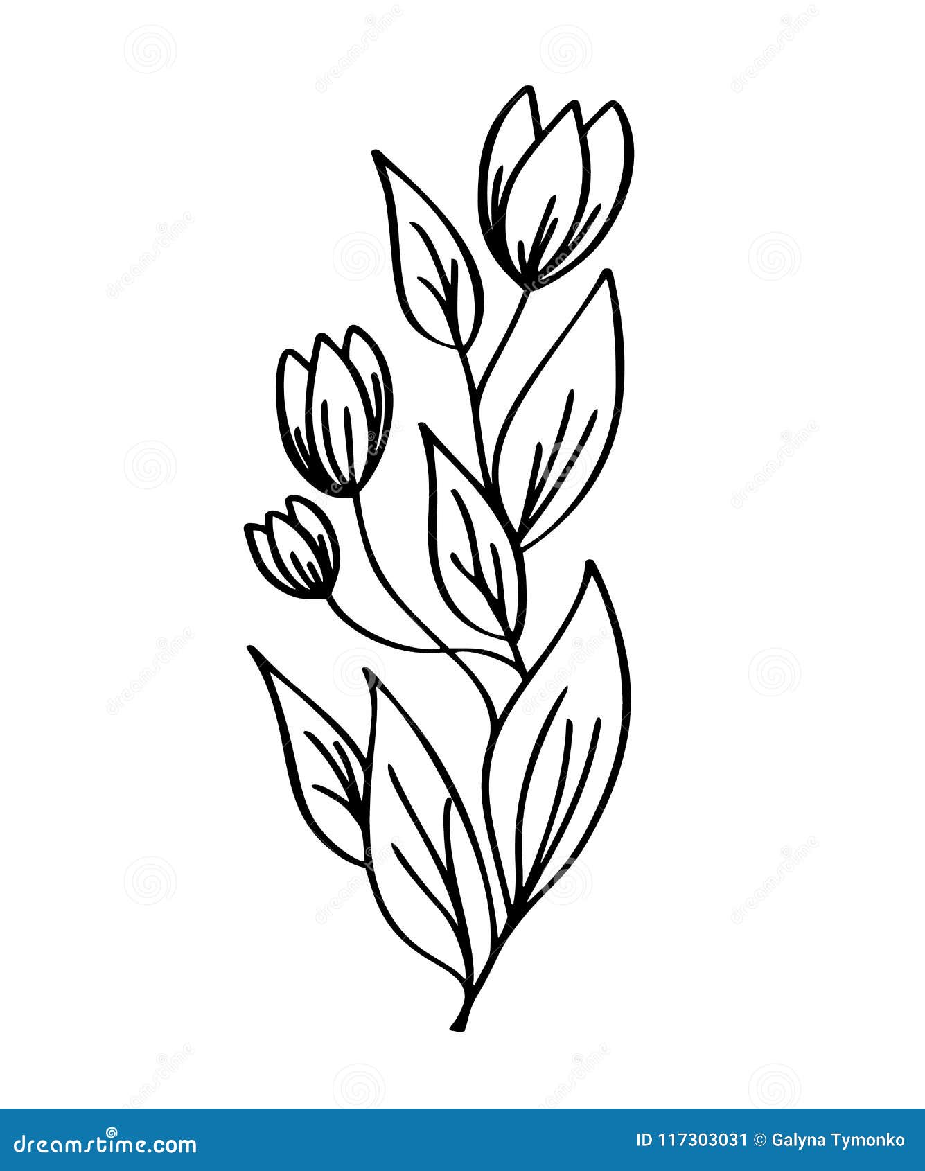 https://thumbs.dreamstime.com/z/hand-drawn-modern-flowers-drawing-sketch-floral-line-art-vector-illustration-wedding-design-t-shirts-bags-posters-117303031.jpg