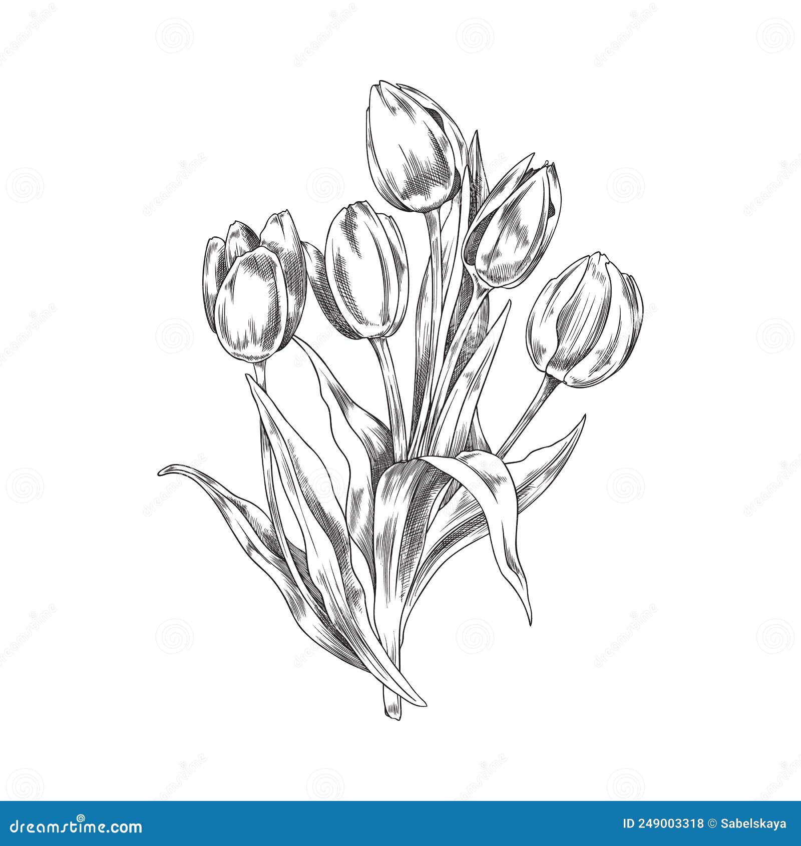 Hand Drawn Monochrome Bouquet of Tulips Sketch Style Stock Vector ...