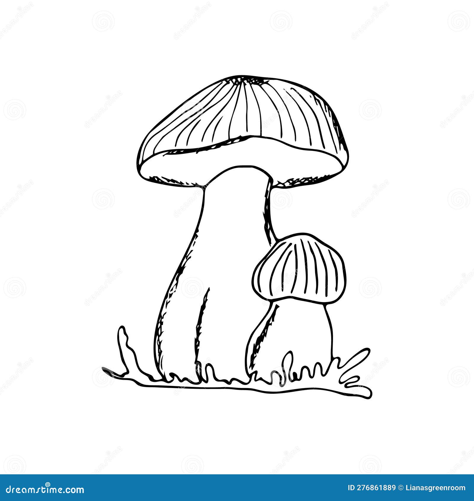 Hand drawn mushrooms stock vector. Illustration of vegetarian 276861889