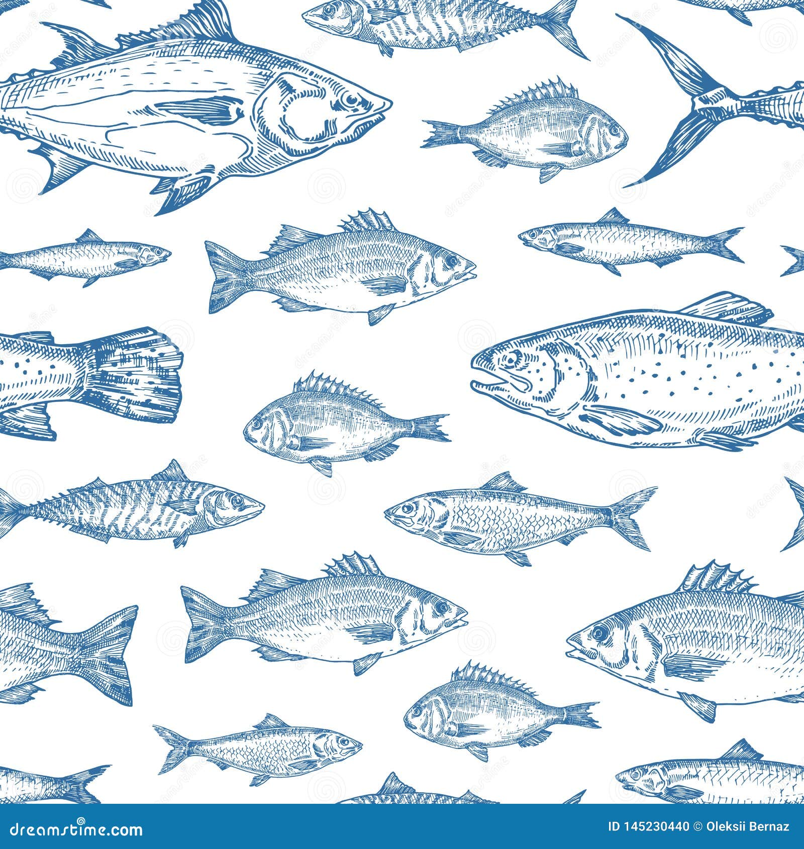 hand drawn ocean fish  seamless background pattern. anchovy, herrings, tuna, dorado, mackerel, seabass and salmons