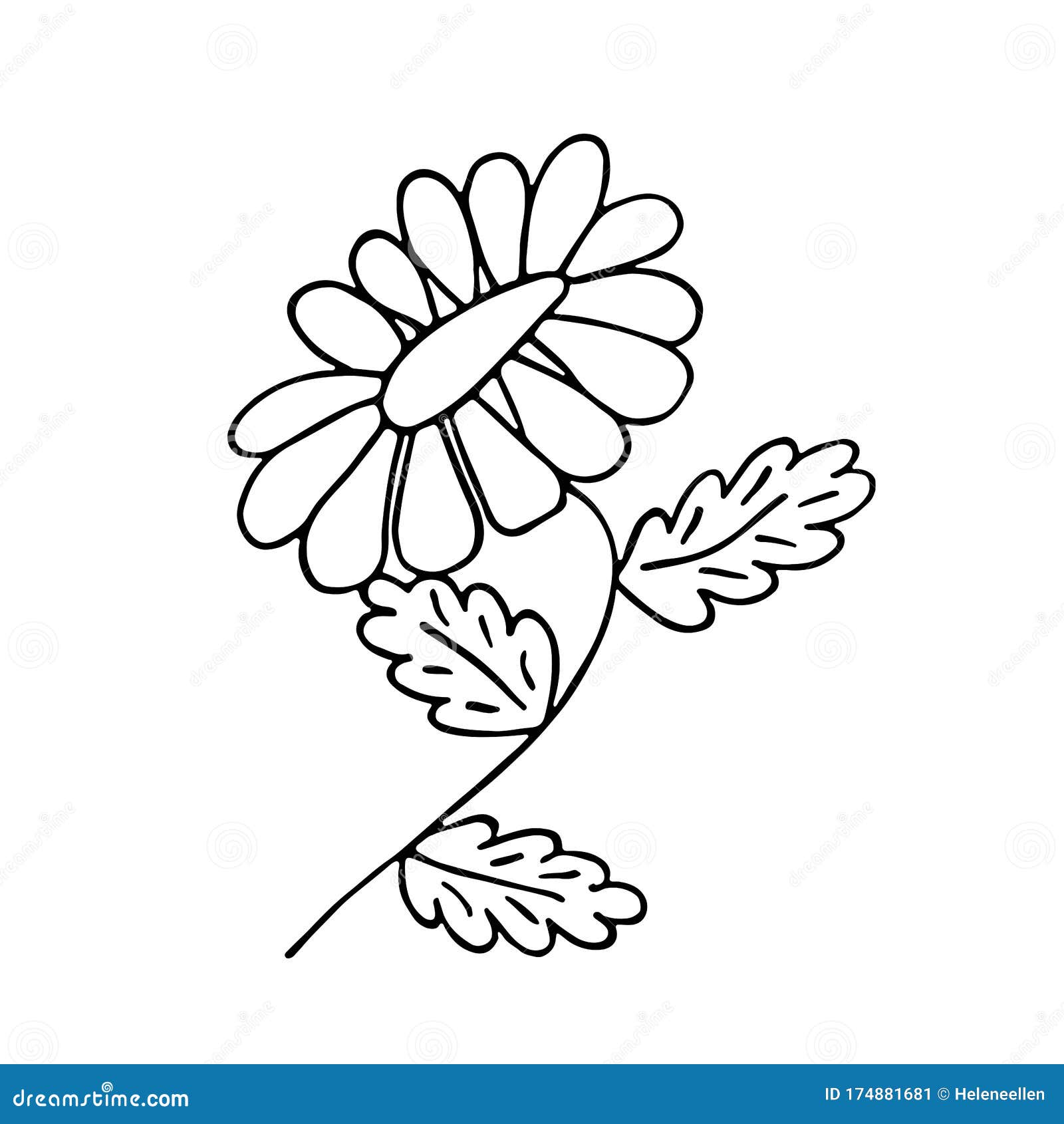 A Beautiful Flower Illustrated In Outline Style Stock Illustration -  Download Image Now - Flower, Orchid, Hibiscus - iStock