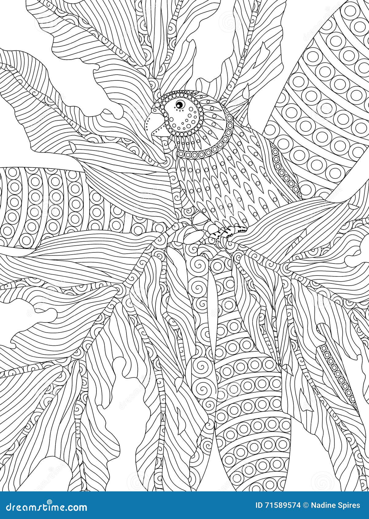 Hand Drawn Parrot Adult Colouring Stock Illustration - Illustration of ...