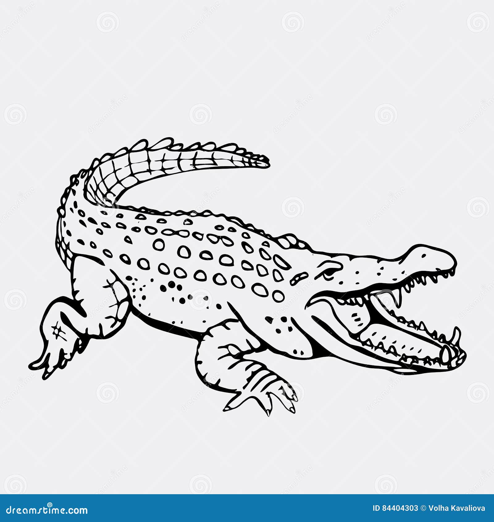 Crocodiles. Sketch Pencil. Drawing By Hand Vector Image Royalty Free SVG,  Cliparts, Vectors, And Stock Illustration. Image 67875600.