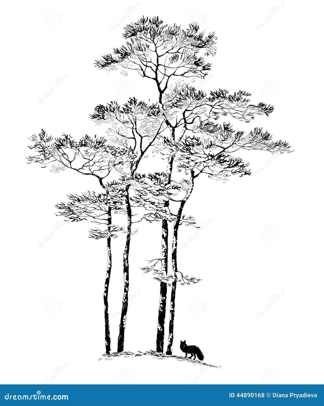 hand drawn pine tree, sketch.