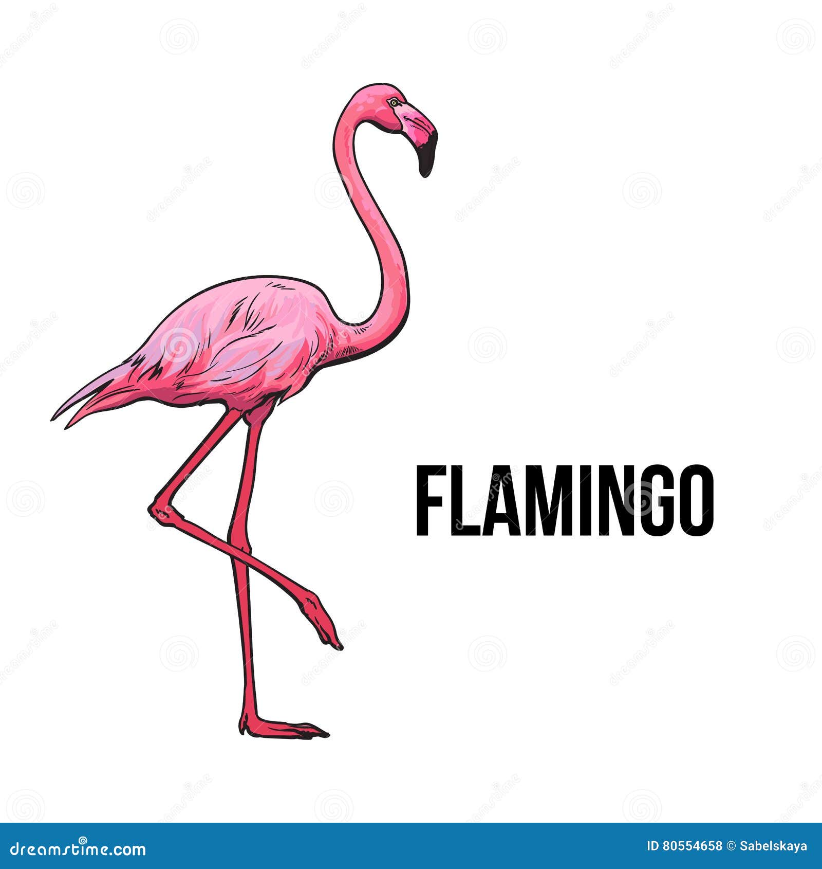 Flamingo Sketch Stock Illustrations – 5,286 Flamingo Sketch Stock