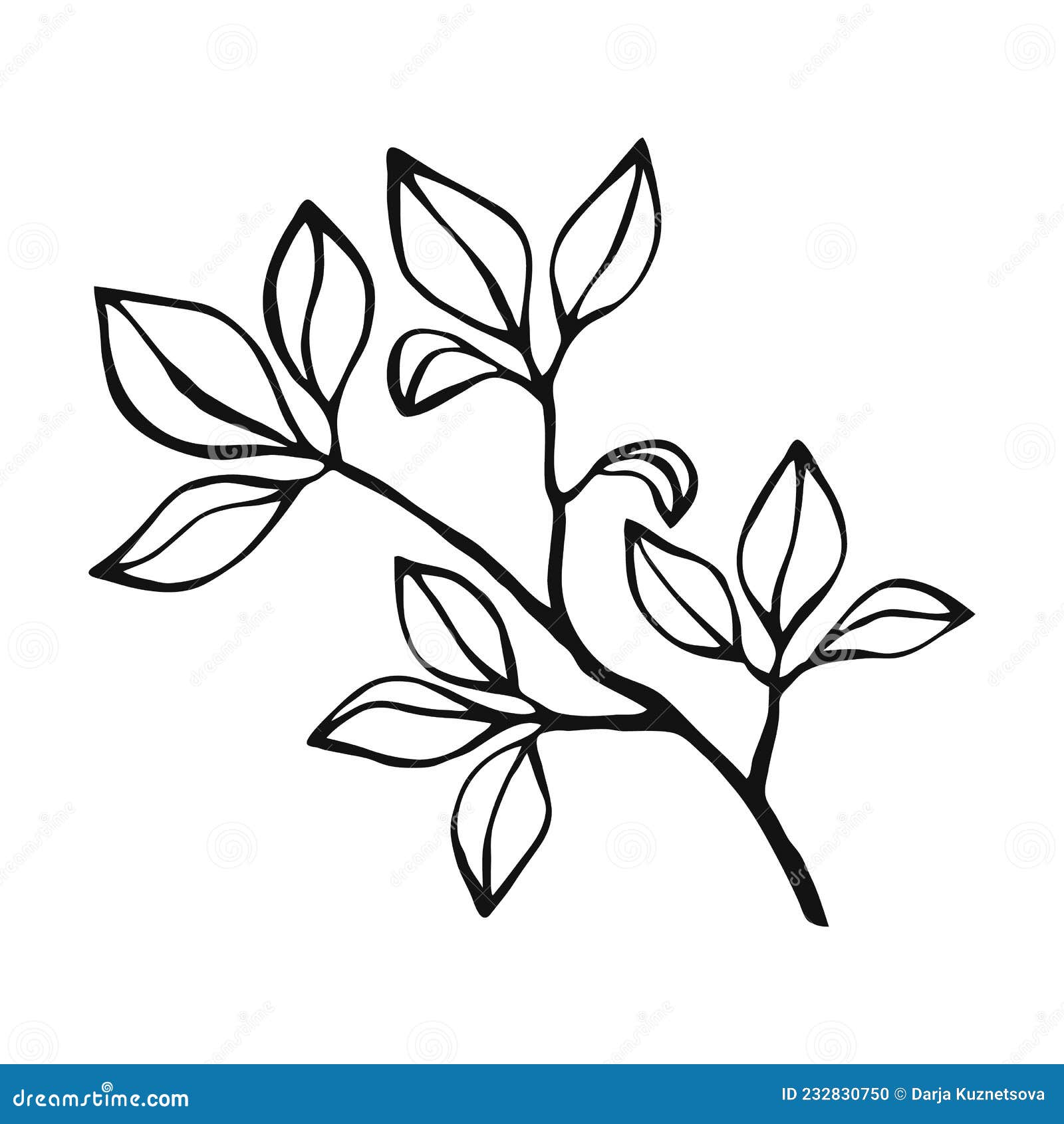 Hand Drawn Plants Outline. Floral and Leave Element Stock Vector ...