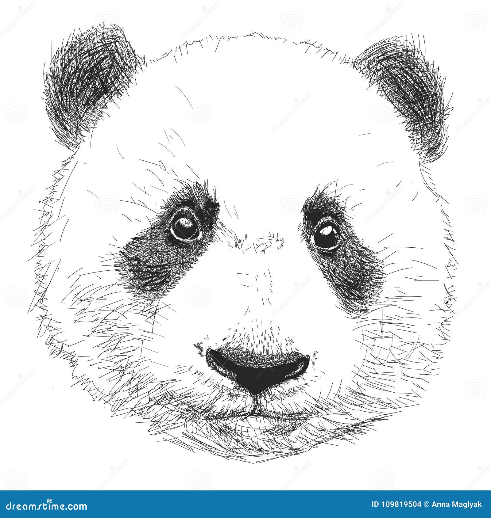 Hand Drawn Portrait of Panda. Black and White Vector Doodles Isolated ...