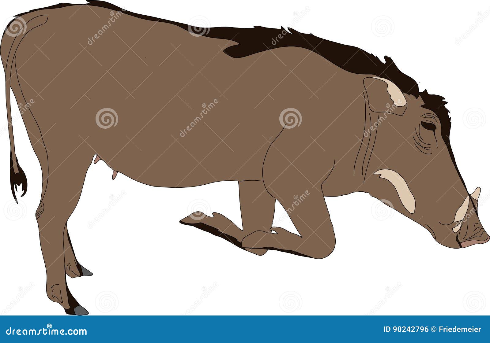 Download Hand Drawn Portrait Of A Wild Warthog Stock Vector - Illustration of vector, still: 90242796