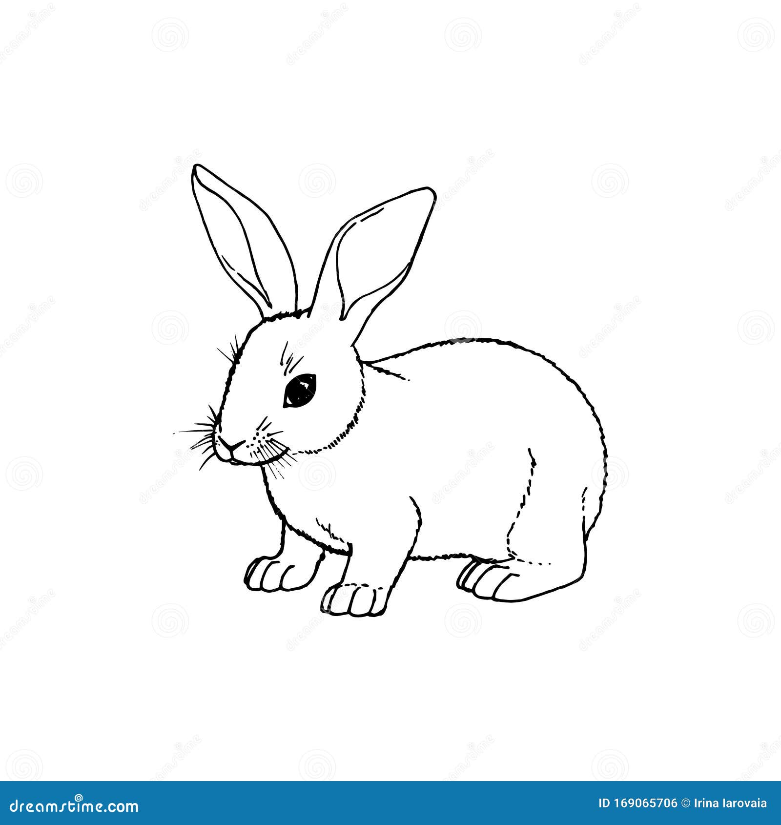 Easter Bunny Line art Drawing Rabbit Rabbit Line Art white mammal  carnivoran png  PNGWing