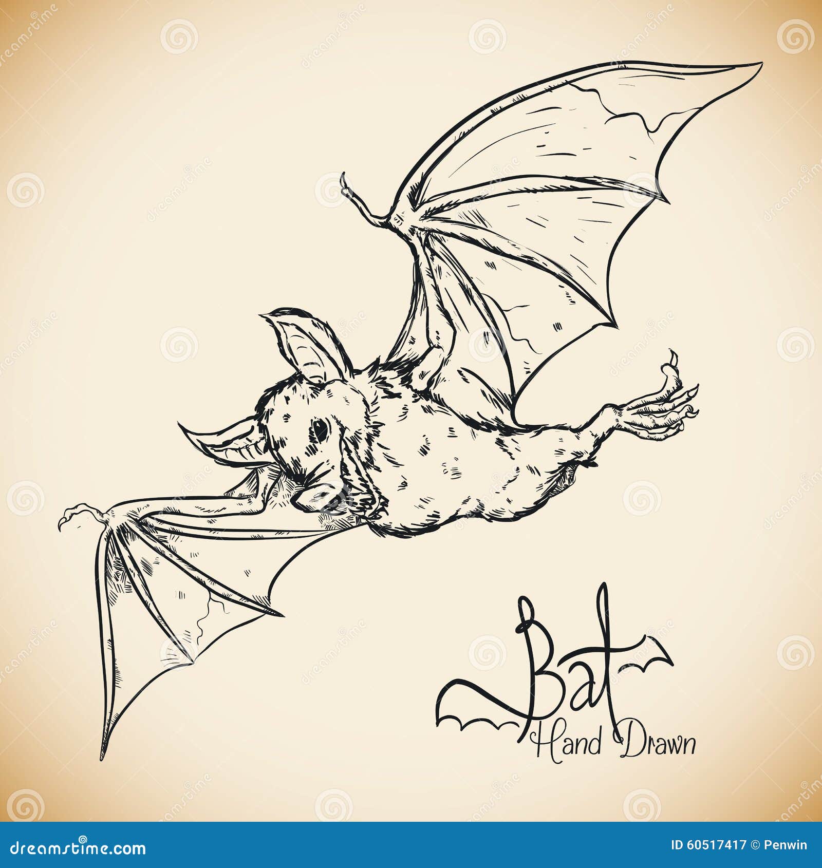 Big Brown Bat Pencil Drawing - How to Sketch Big Brown Bat using Pencils :  DrawingTutorials101.com