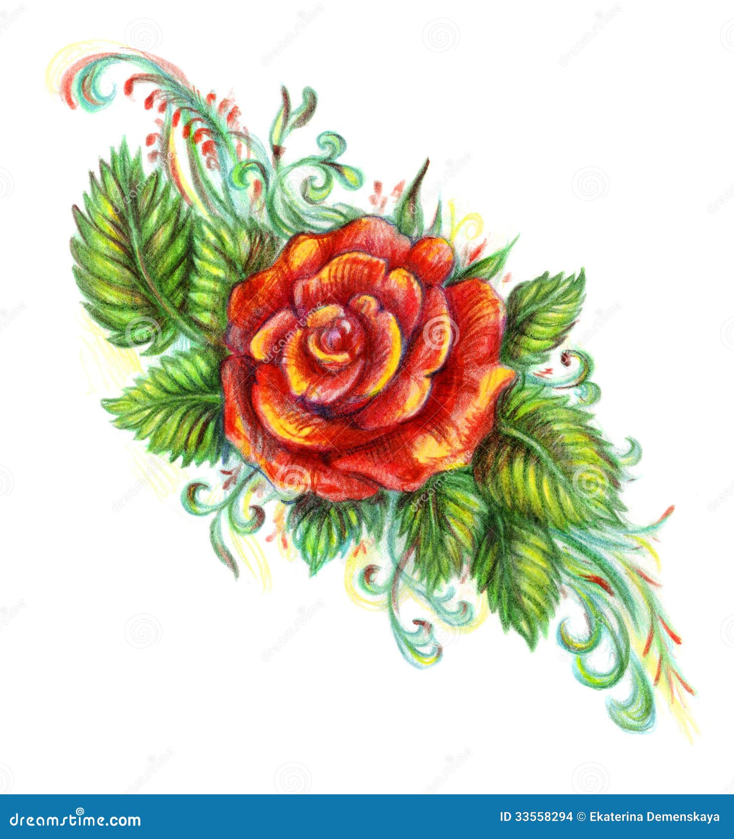 drawn roses in color