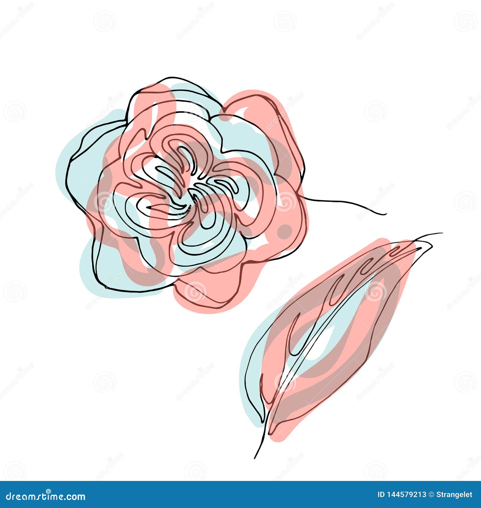pix Simple Rose Flower Drawing Images dreamstime com