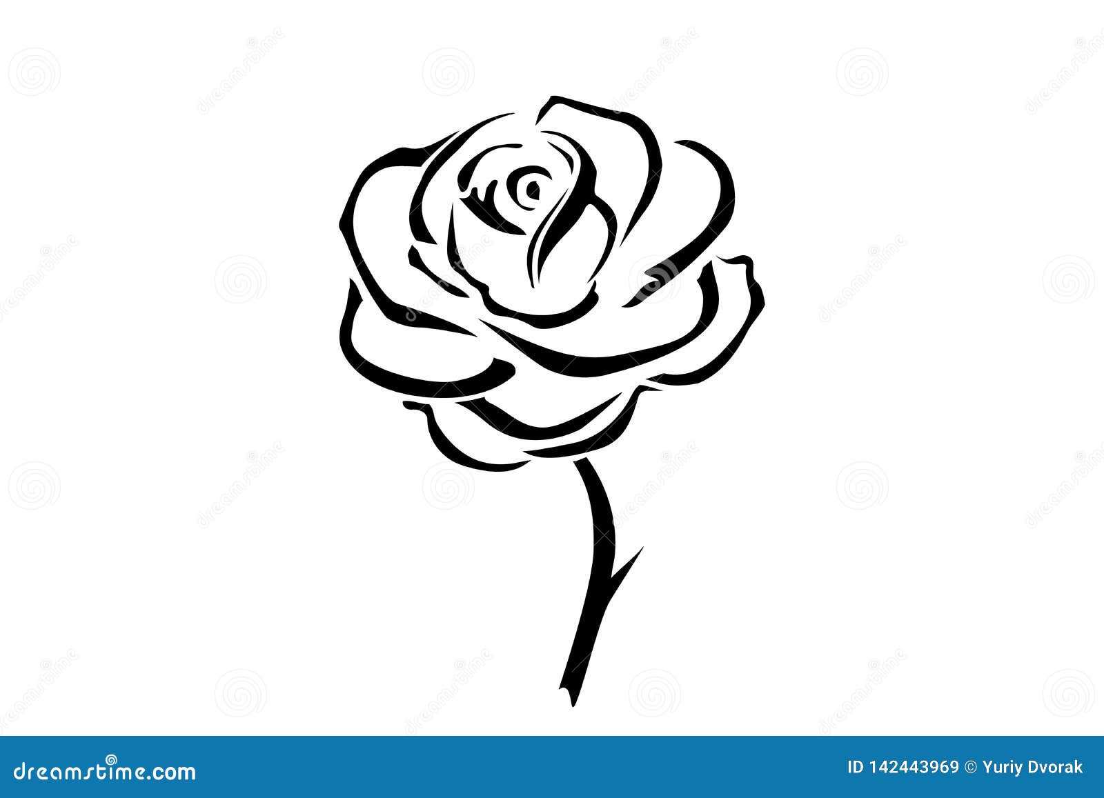 Hand Drawn Rose. Flowers Rose, Black and White Vector Outline Icon ...