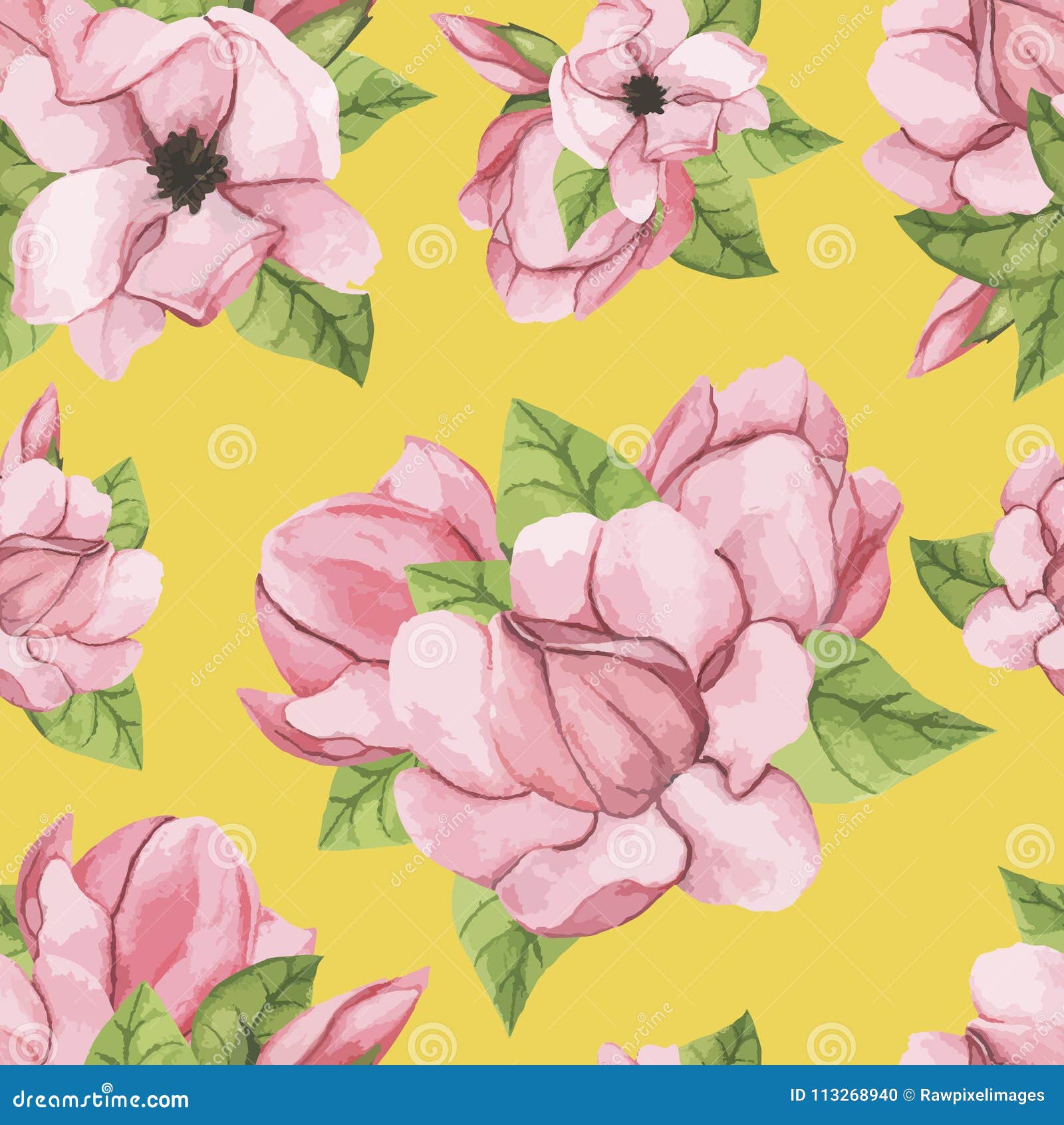 Hand Drawn Saucer Magnolia Flower Isolated Stock Illustration