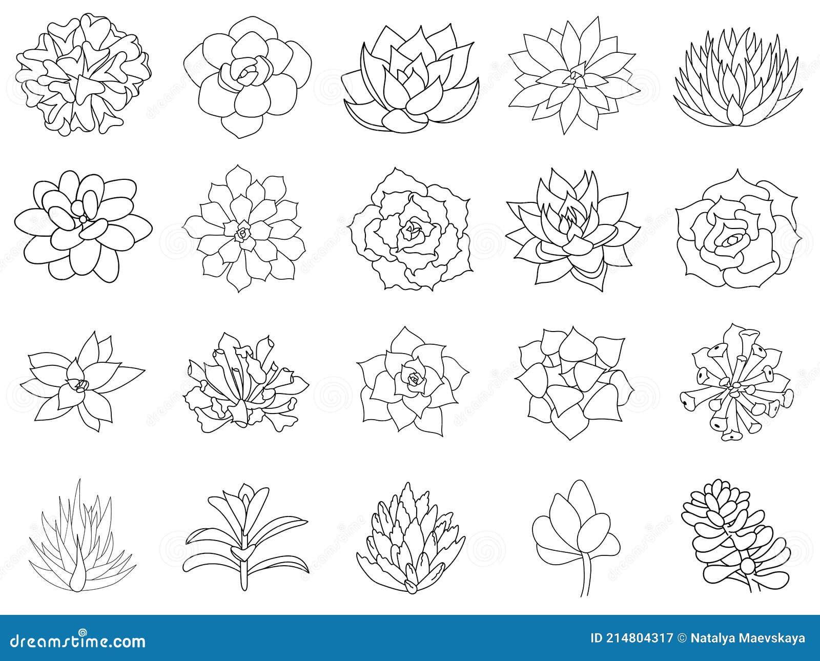 Hand Drawn Set Succulent in Style Outline Doodle. Graphics Sketch Home ...