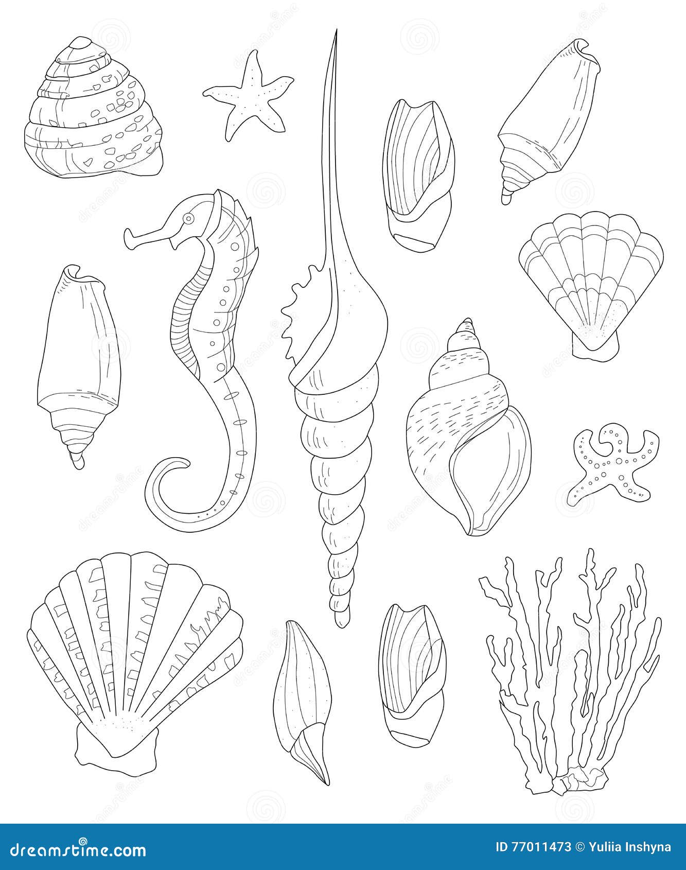 Hand Drawn Shells For Coloring Pages For Adults Stock Vector Illustration Of Boho Black 77011473