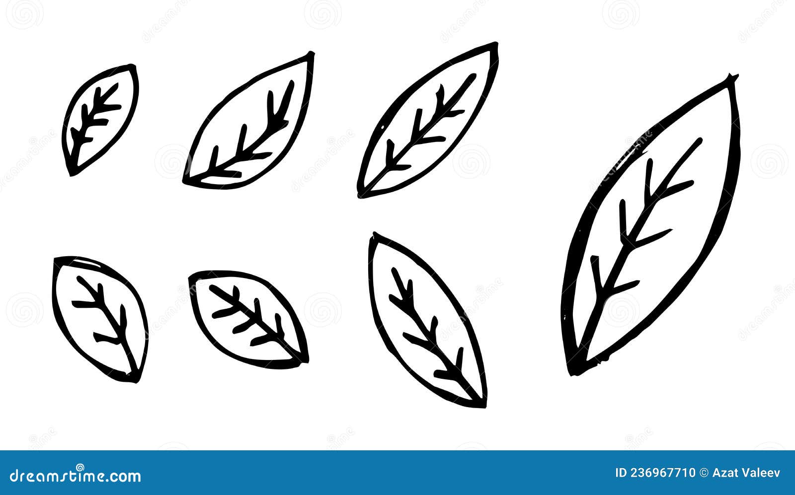 leaf drawing / leaf pencil art /leaf design / leaf / easy leaf drawing. -  YouTube