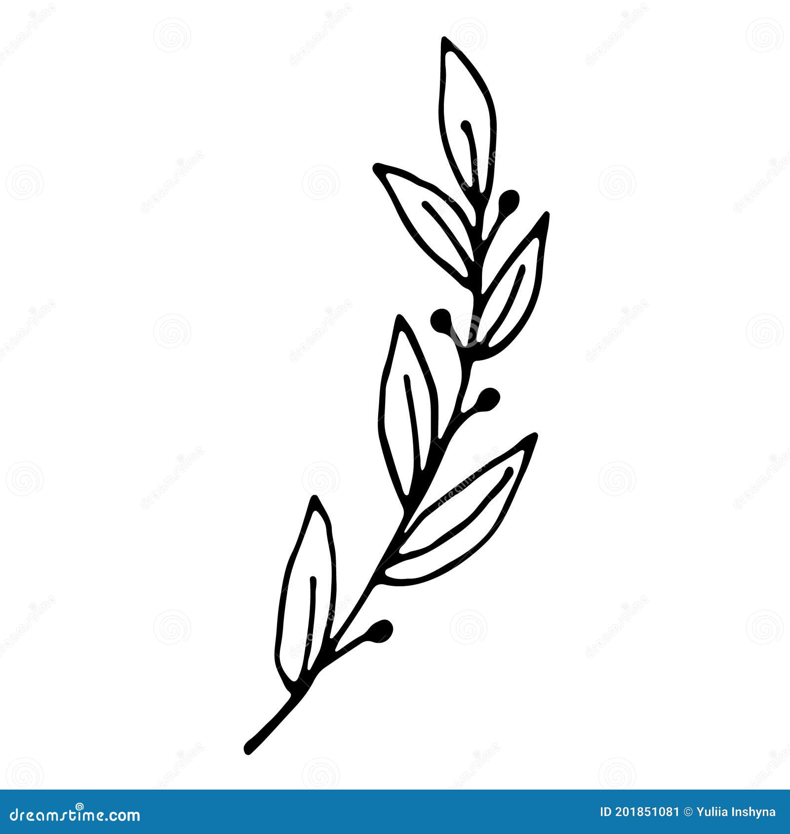 Hand Drawn Single Leaf for Wedding Decor Stock Vector - Illustration of ...