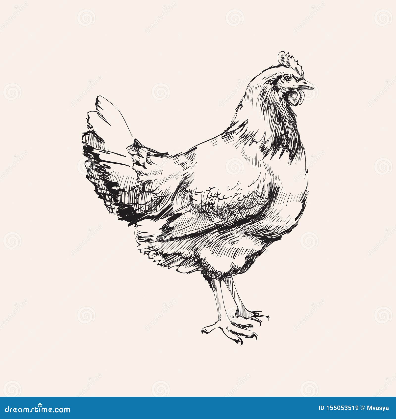 Chicken Sketch Stock Illustrations – 25,358 Chicken Sketch Stock  Illustrations, Vectors & Clipart - Dreamstime