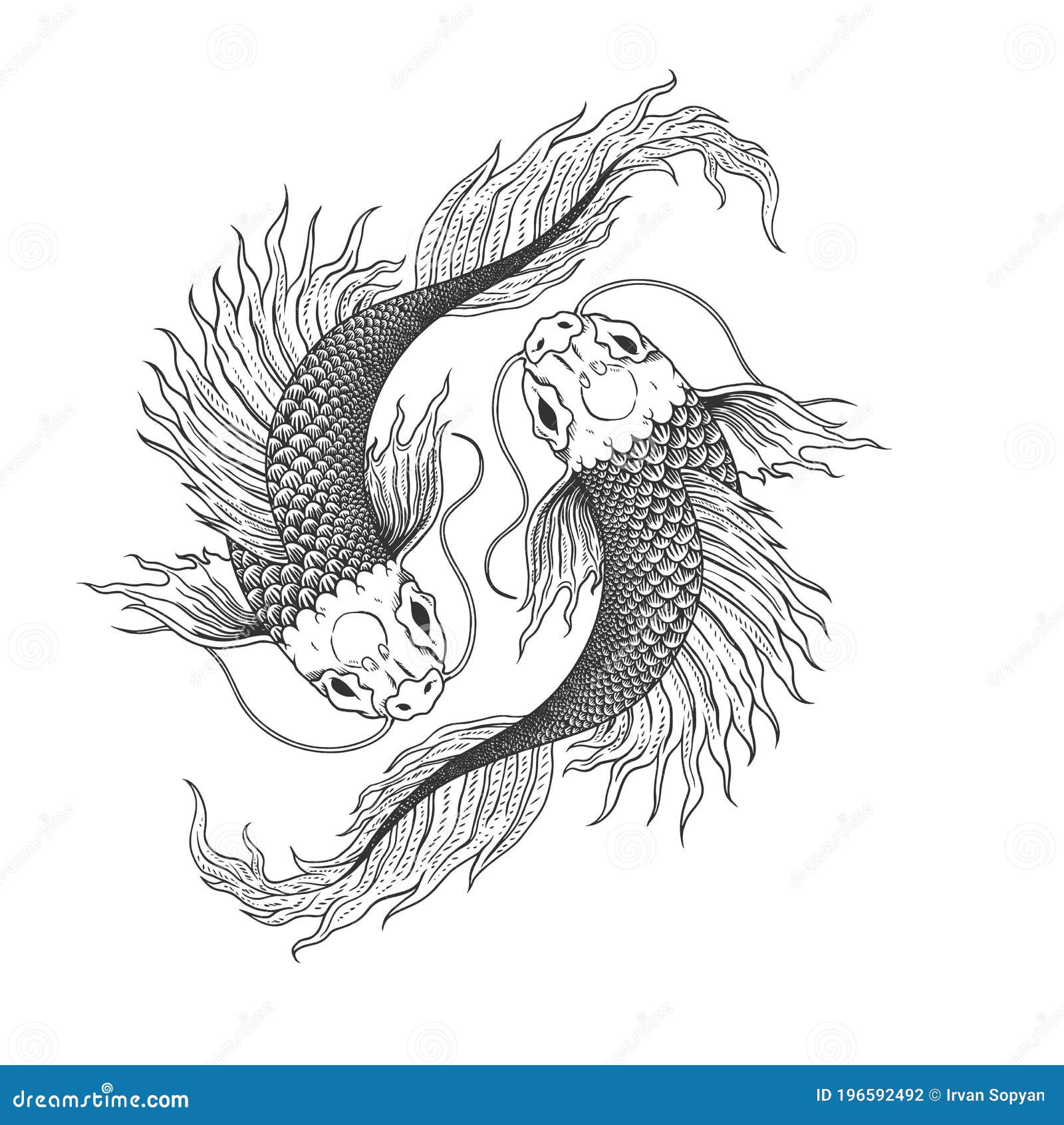 A Hand Drawn Sketch Fish, Ying and Yang Premium Vector Stock