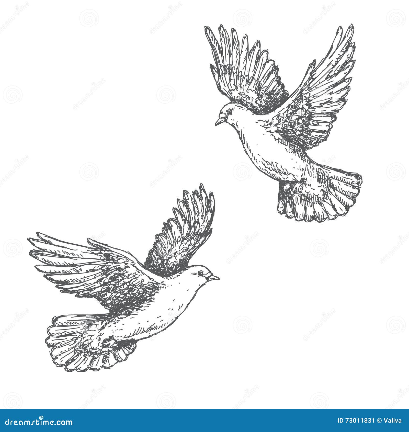 Hand Drawn Sketch of Flying Doves Stock Vector Illustration of