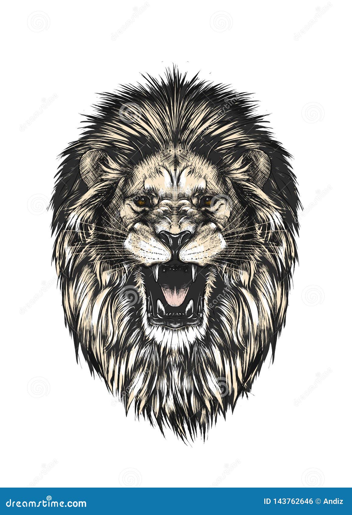 Aggregate more than 79 lion drawing tattoo latest  thtantai2