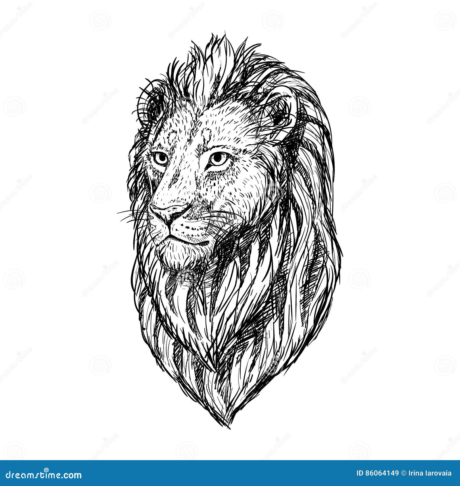 Hand Drawn Sketch of Lion Head. Vector Illustration. Stock Vector