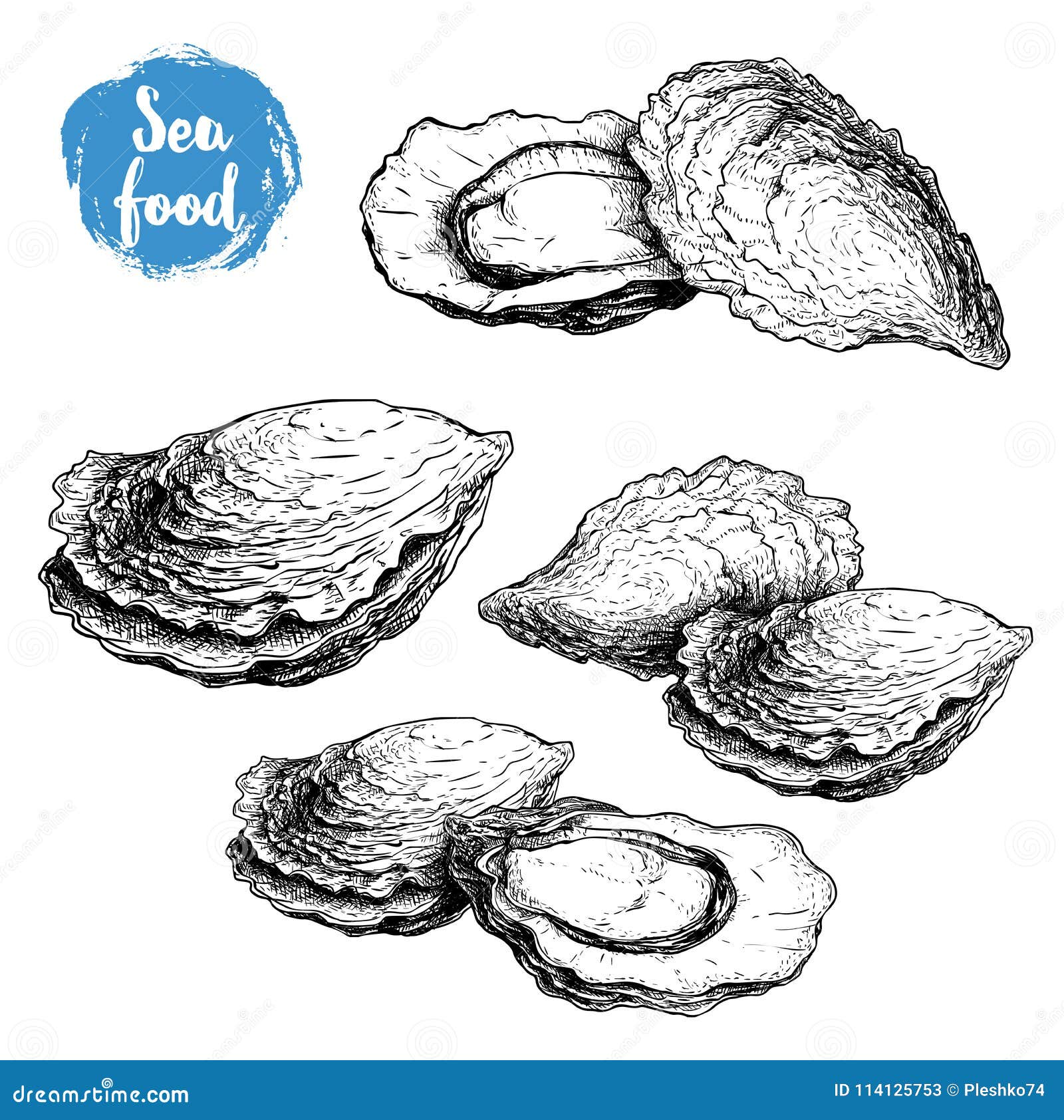 Hand Drawn Sketch Oyster Compositions Set. Hand Drawn ...