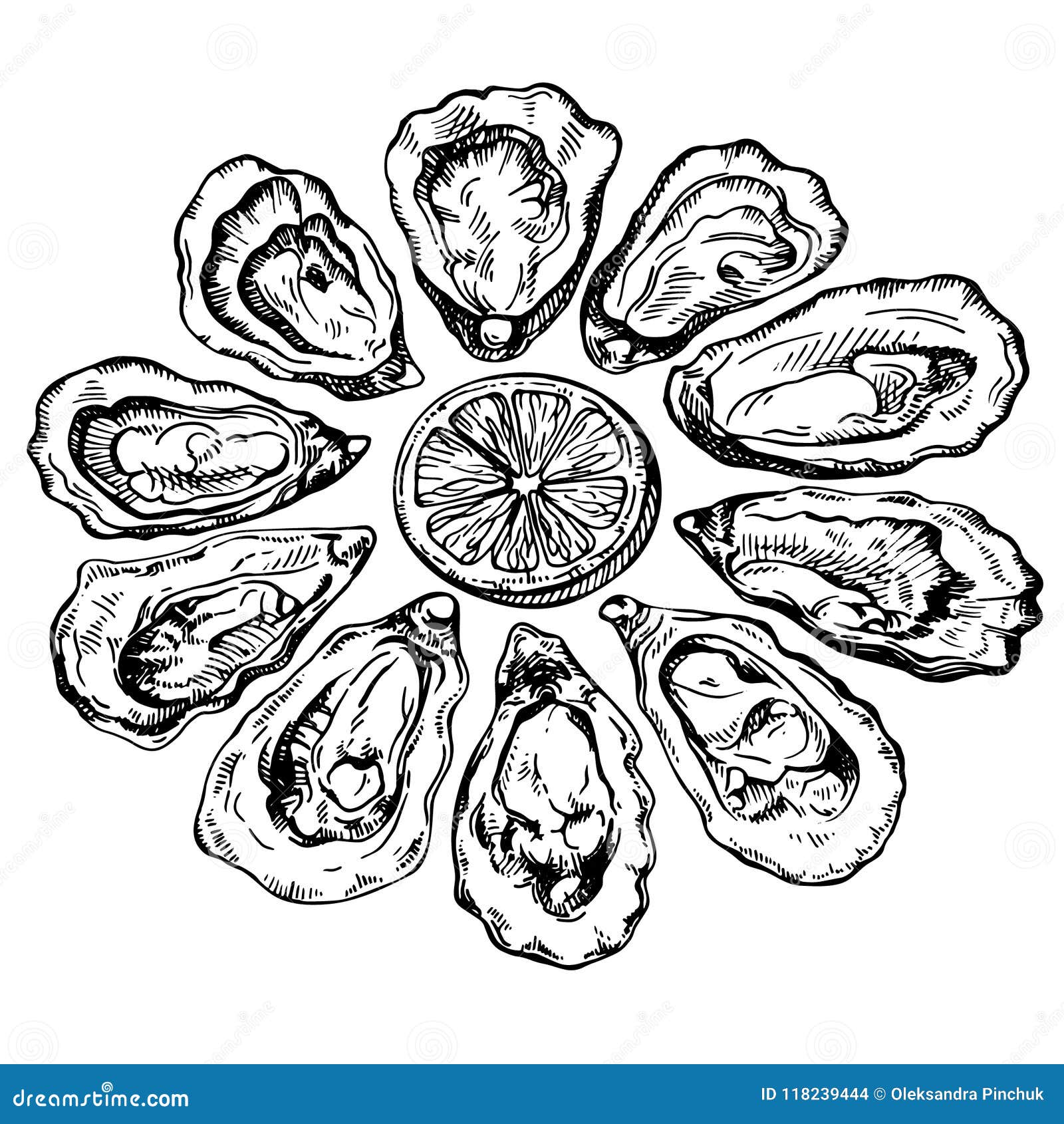 Hand Drawn Sketch Oyster Set. Sketch Illustration of Fresh Seafood