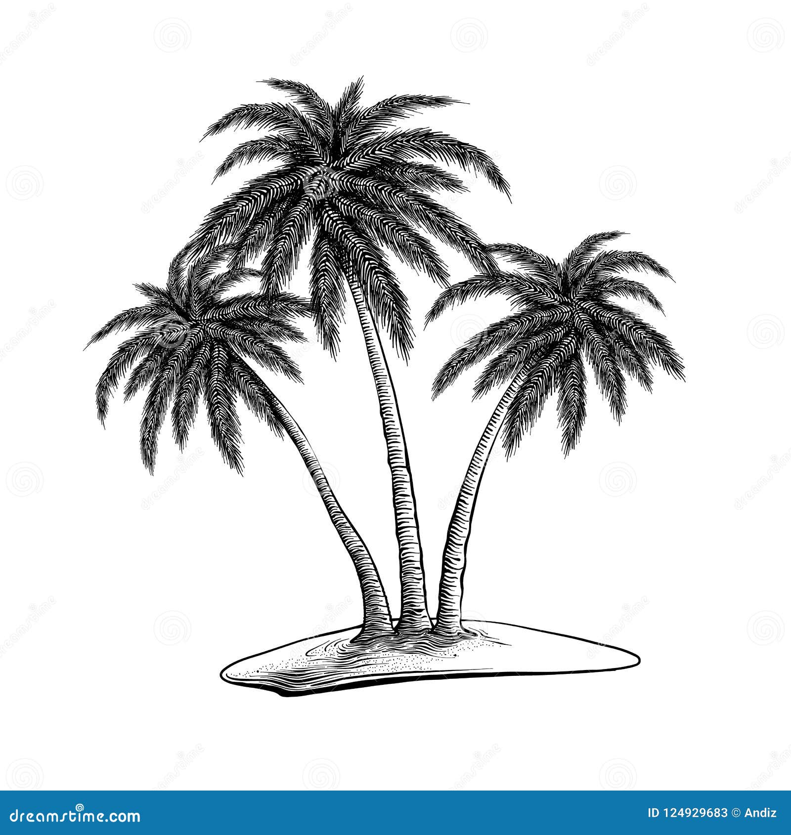 Free Palm Tree Drawing, Download Free Palm Tree Drawing png images, Free  ClipArts on Clipart Library