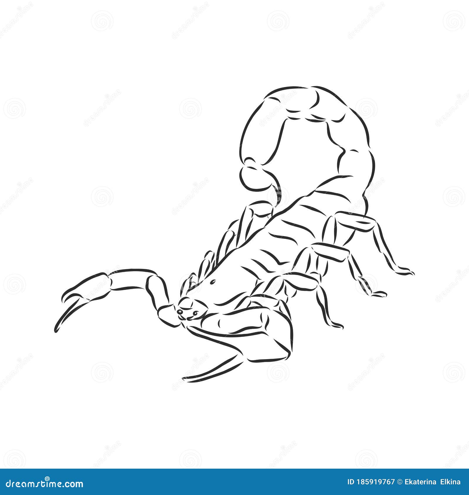 Рисунок Скорпион на фанере