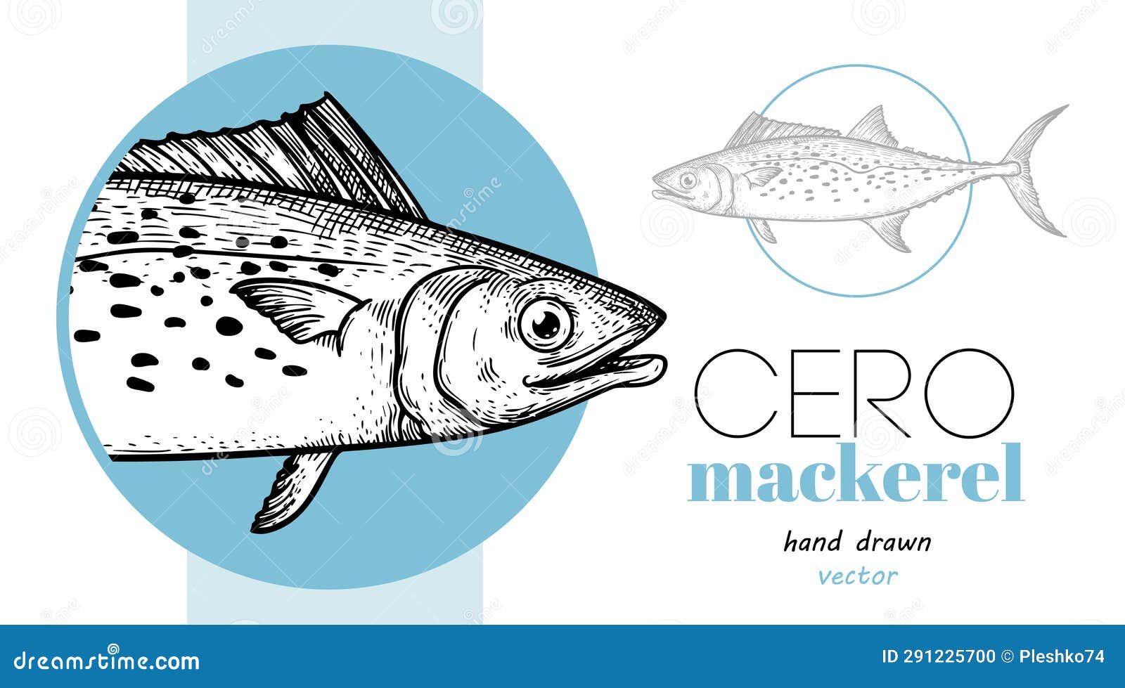 hand drawn sketch style cero mackerel  template. fish restaurant menu .