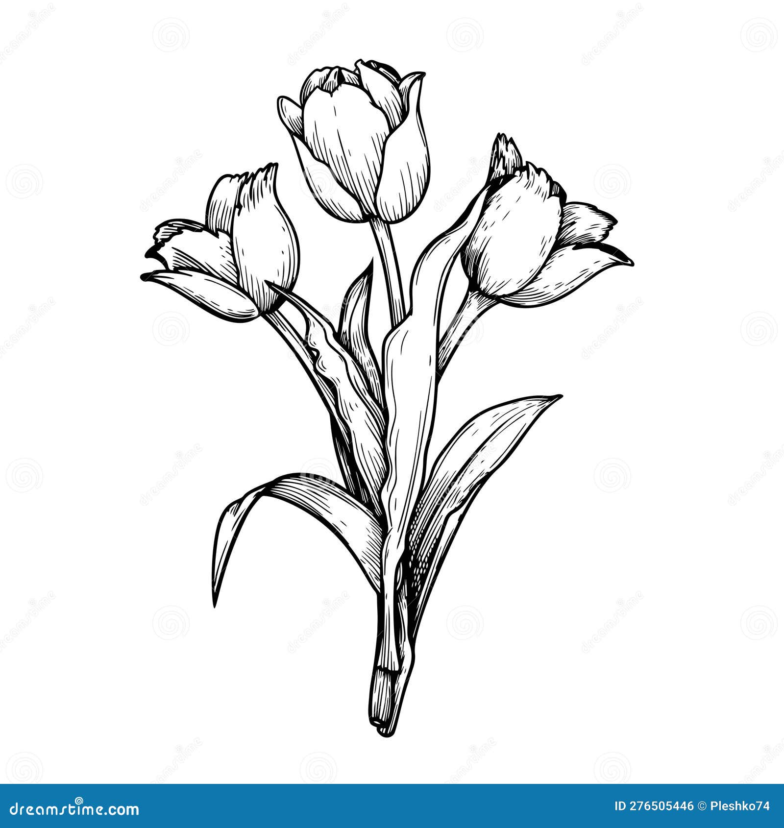 Hand Drawn Sketch Style Tulip Flowers Bouquet. Black and White Pen and ...