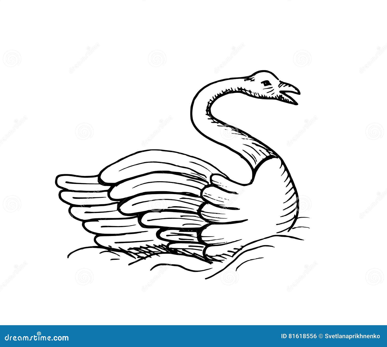 Hand-drawn sketch of swan stock vector. Illustration of 