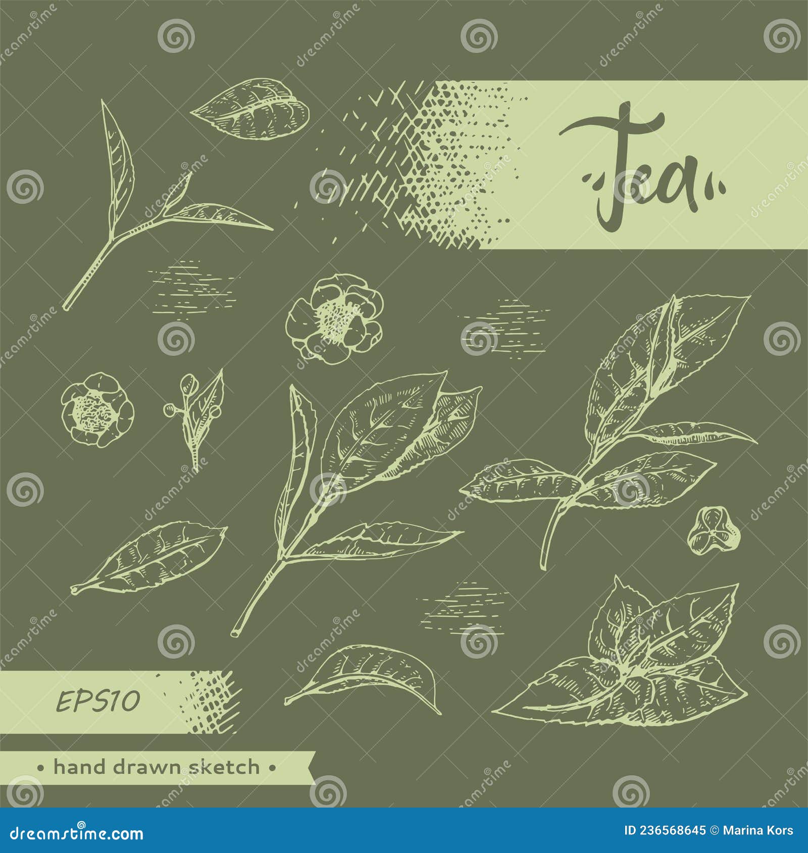 Handdrawn Sketch Tea Leafs and Flowers. Stock Vector Illustration of