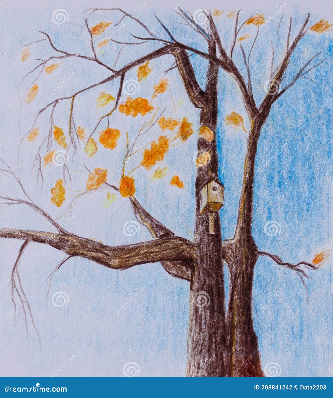 How to Draw Autumn Tree | Fall Tree Drawing | Autumn Season Painting -  YouTube