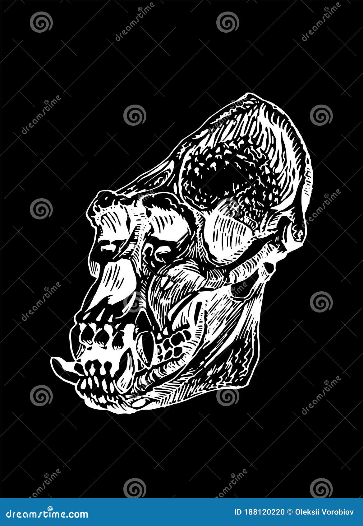 Kévin Plane on Instagram ink inked tattoo tattoos tattooed tattrx  btattooing blackwork dot draw dra  Skull tattoo design Skull  sketch Skull drawing