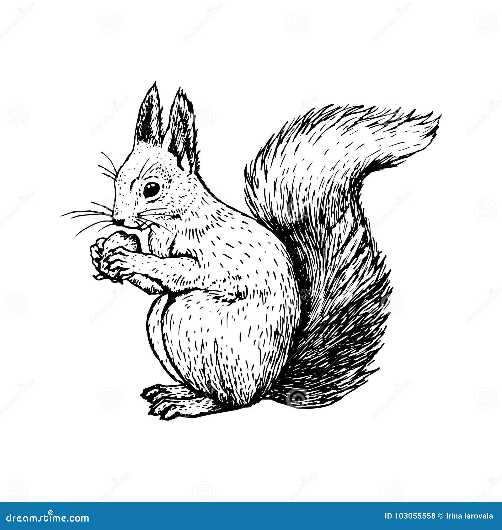 Cute Squirrel Standing Up Animal Rodent Cartoon Illustration Tattoo Ink Art SVG PNG JPG Clipart Vector Designs Silhouette Cricut Cut Cutting