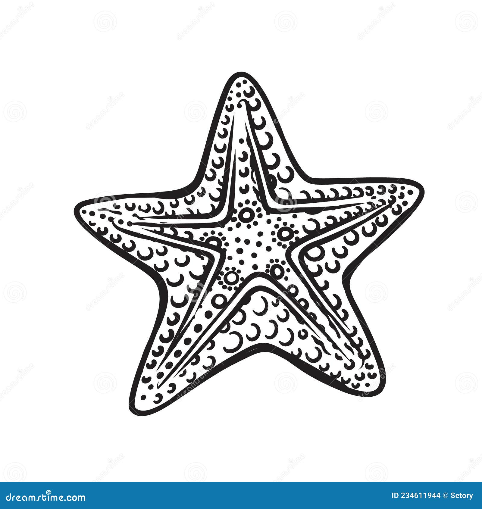 realistic starfish drawing - Clip Art Library