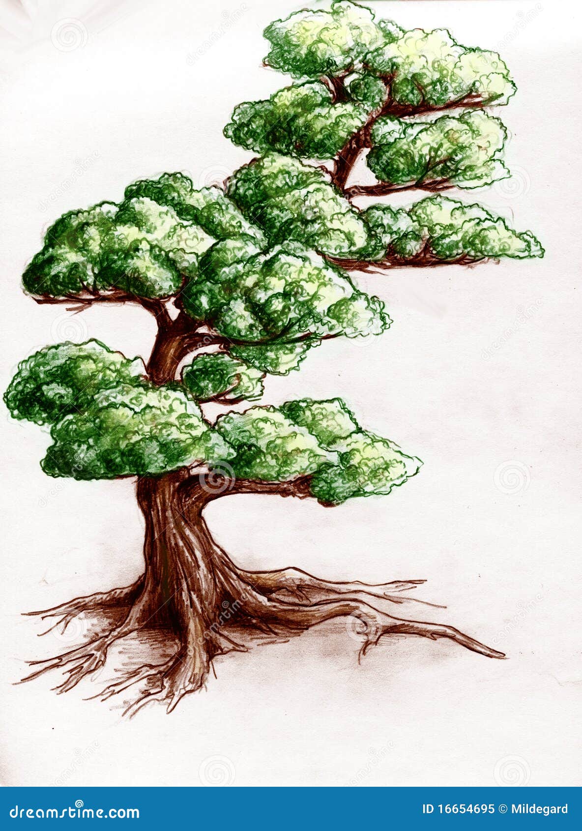 drawings of trees in pencil