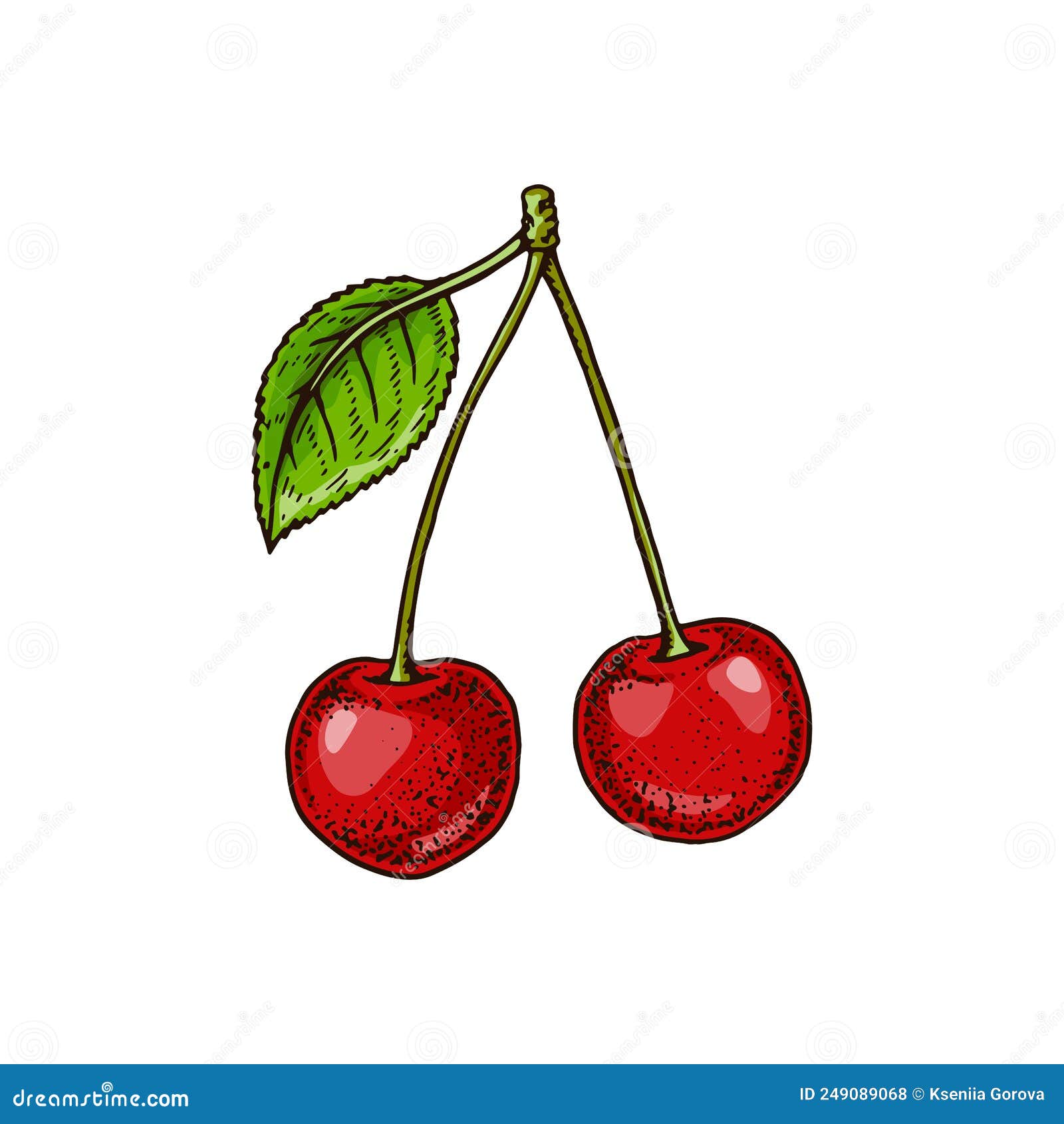 Hand Drawn Two Cherries Isolated on White. Vector Illustration in