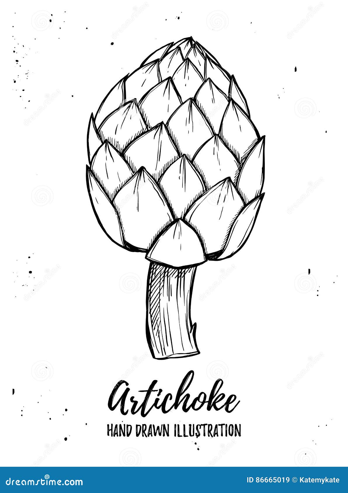 hand drawn   - artichoke. fresh organic